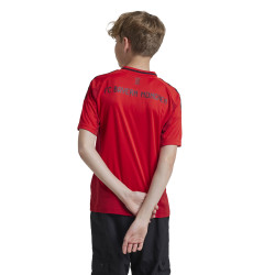 koszulka adidas FC Bayern 24/25 Home Kids IT2249