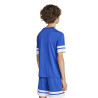 copy of koszulka adidas Squadra 21 Jersey Youth GN5739