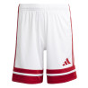 spodenki adidas Squadra 25 Kids JJ2424