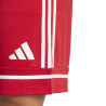 copy of spodenki adidas Squadra 21 Shorts GN8084