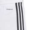 copy of spodenki adidas Squadra 21 Shorts GN8084
