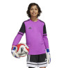 bluza bramkarska adidas Squadra 25 Junior JJ1939