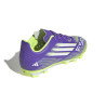copy of adidas Copa Gloro.2 FG HP2938