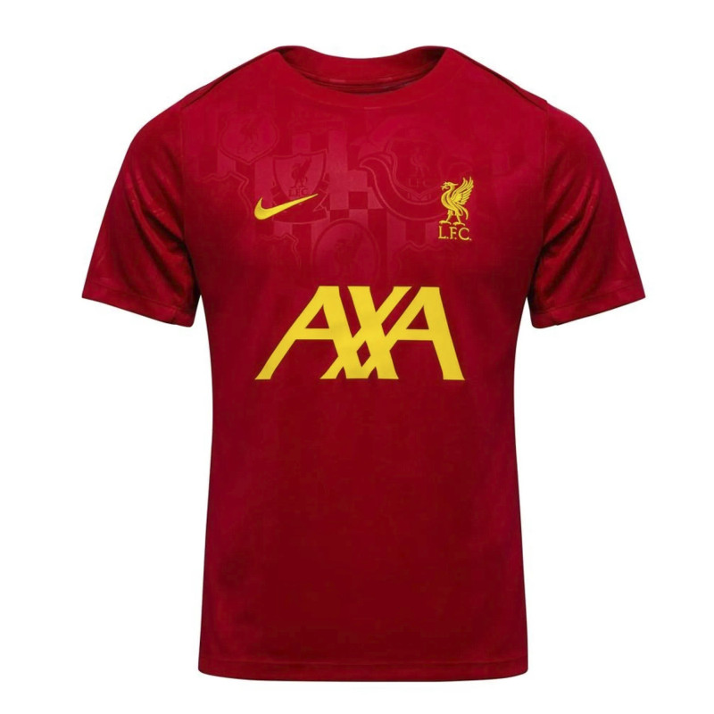 koszulka Nike Liverpool FC Academy Pro FN9653 688