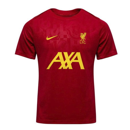 koszulka Nike Liverpool FC Academy Pro FN9653 688