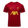 koszulka Nike Liverpool FC Academy Pro FN9653 688
