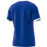 koszulka piłkarska adidas Tabela 14 F50270