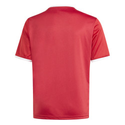 copy of koszulka adidas Entrada 22 GFX HB0572