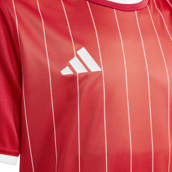 copy of koszulka adidas Entrada 22 GFX HB0572