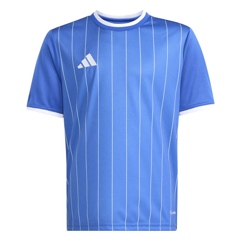 copy of koszulka adidas Entrada 22 GFX HB0572