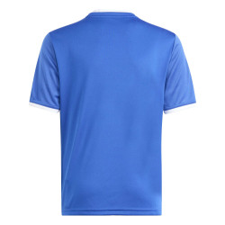 copy of koszulka adidas Entrada 22 GFX HB0572