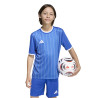 koszulka adidas Entrada 26 GFX JSY junior KB3989