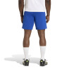 copy of spodenki adidas Entrada 22 H57506