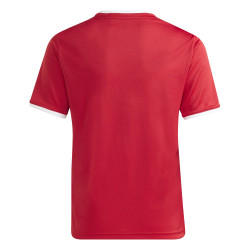 copy of koszulka adidas Entrada 22 GFX HB0572