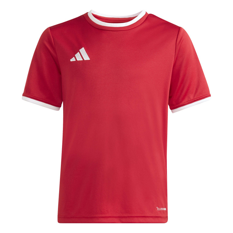 copy of koszulka adidas Entrada 22 GFX HB0572