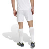 copy of spodenki adidas Entrada 22 H57506