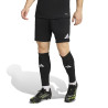 spodenki adidas Entrada 26 JZ2521