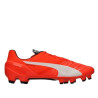 Puma Evospeed 1.4 Fg 103264 01