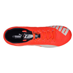 Puma Evospeed 4.4 FG 103273 01
