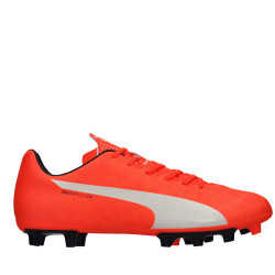 buty Puma Evospeed 5.4 Fg 103286 01