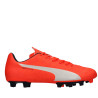 buty Puma Evospeed 5.4 Fg 103286 01