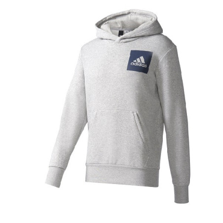 bluza adidas Essentials Logo Hoodie B45729